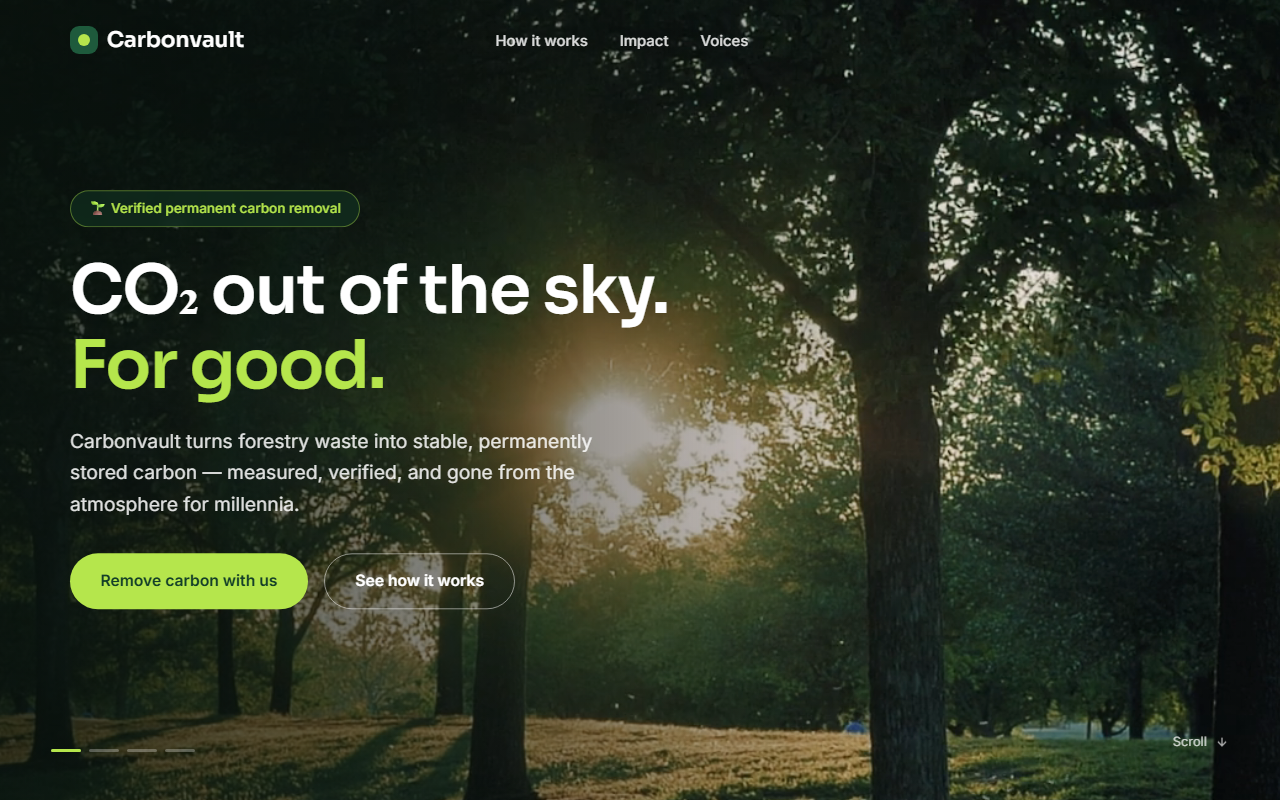 Site da Carbonvault — visão geral
